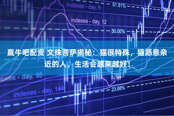 赢牛吧配资 文殊菩萨揭秘：猫很特殊，猫愿意亲近的人，生活会越来越好！