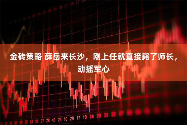 金砖策略 薛岳来长沙，刚上任就直接毙了师长，动摇军心
